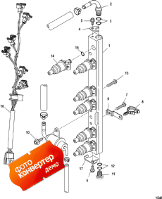 Fuel Rail ( )