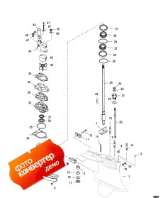 Gear Housing (drive) Standard/counter Rotatation-sportmaster (  (drive)  / counter Rotatation-sportmaster)