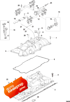 Intake Manifold And Fuel Rail (    )