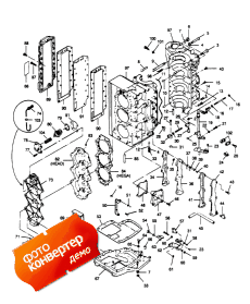 Power Head (Power Head)