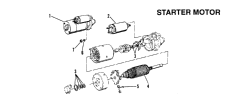 Starter Motor ( )