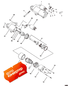 Starter Motor ( )