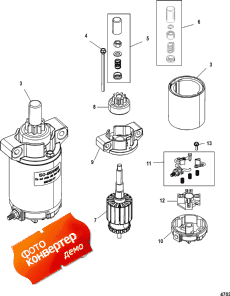 Starter Motor ( )