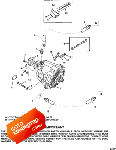 Transmission And Related Parts (borg Warner 72) (  Related Parts (borg Warner 72))