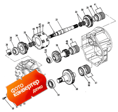 Transmission Assembly ( Assembly)