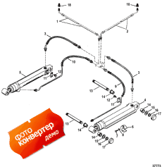 Trim Cylinders And Hydraulic Hoses (������� �����s � Hydraulic �����s)