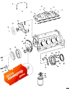 Water Pump And Front Cover (    )