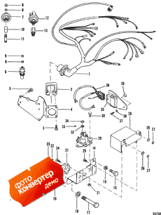 Wiring Harness And Electrical Components (Wi     )