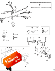 Wiring Harness And Electrical Components (Wi     )