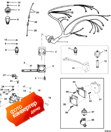 Wiring Harness And Electrical Components (Wi     )