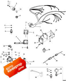 Wiring Harness And Electrical Components (Wi     )