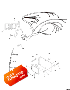 Wiring Harness And Electrical Components (Wi     )