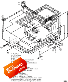 Wiring Harness (efi) (Wi   (efi))