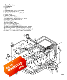 Wiring Harness (efi) (Wi   (efi))