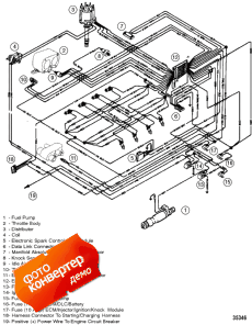 Wiring Harness (efi) (Wi   (efi))