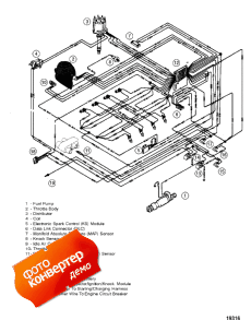 Wiring Harness (efi) (Wi   (efi))