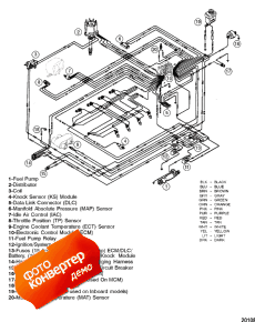 Wiring Harness (efi) (Wi   (efi))