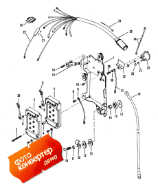 Wiring Harness / Starter Solenoid (Wi   /  )