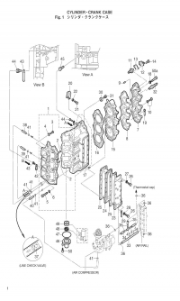 Cylinder & Crankcase <br />  &  