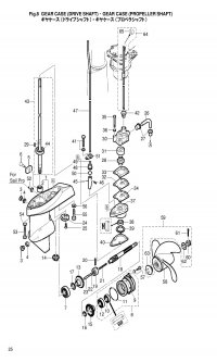 Gear Case, Drive Shaft & Propeller Shaft <br />   ,    &   