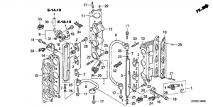   /  (Fuel Pipe / Injector)