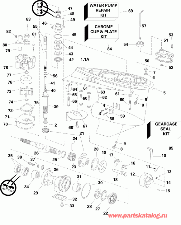   Evinrude E115DPLSCR  - arcase / arcase