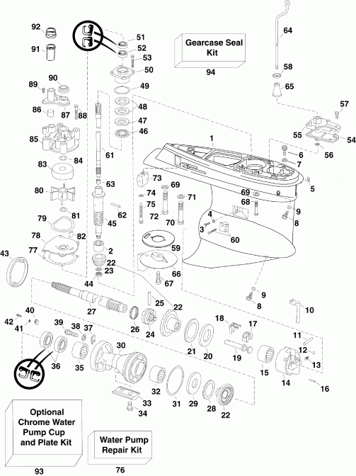 ����� EVINRUDE E150DPXSCR  - arcase
