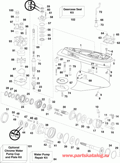 ��������� ����� EVINRUDE E175DCXSCR  - arcase