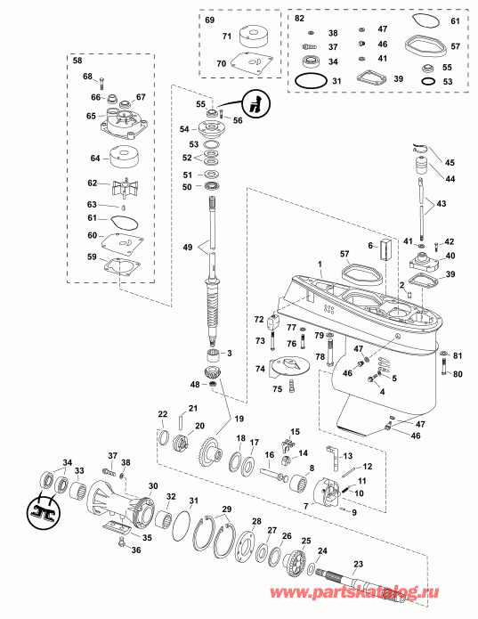 �������� ����� ������� E40DPGLAGC  - gearcase, F-type - ��������, F-type