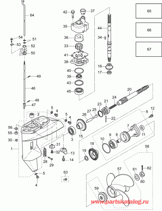 ��������� Evinrude B15RGL4ABB  - gearcase Assembly / �������� Assembly
