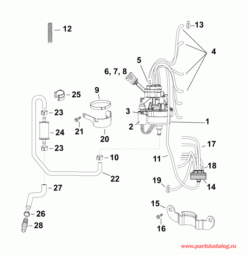 ����� EVINRUDE DE150PXABG  - oil Pump - �������� �����
