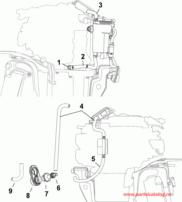 ��������� ����� EVINRUDE E25DTEABA  - cooling Hoses / ������ ����������