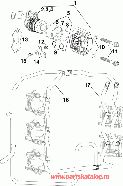    Evinrude E300DCZABB  -   & Rails