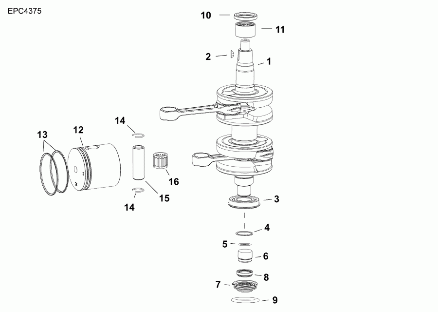 ��������� Evinrude B30MRLAFB  - crankshaft & Pistons / �������� & ������