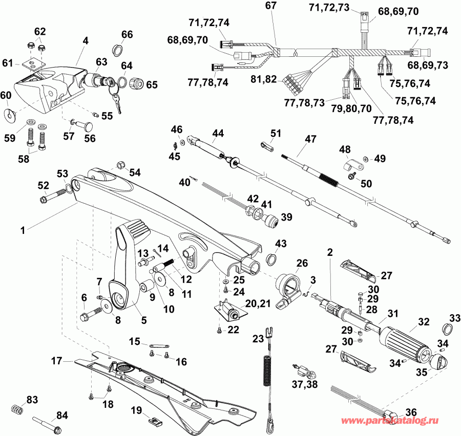  Evinrude E50DTLAFB  - tiller Arm (dt) / ������� (����� �������) (dt)