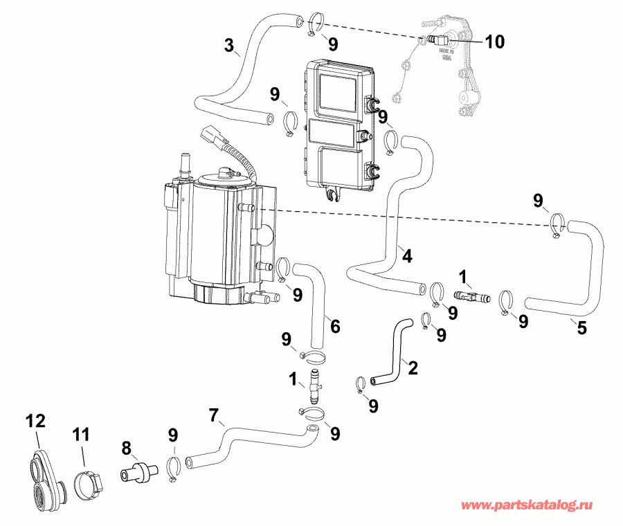 ��������� Evinrude E65GNLAFC  - cooling Hoses - ������ ����������