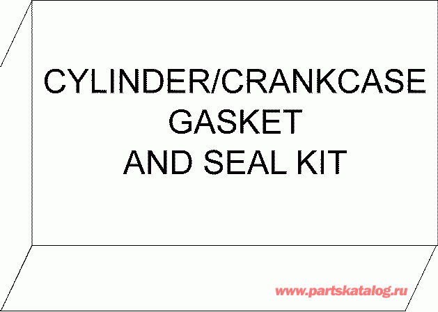    EVINRUDE DE300CZISS  - linder & Crankcase Gasket & Seal Kit / linder &     