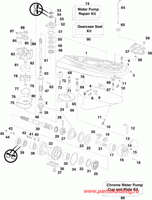 ��������� EVINRUDE E175DPLIIB  - ype / ype