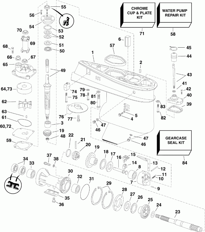 ��������� ��������� Evinrude E50DPLINC  - ype / ype