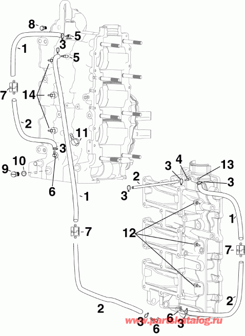  EVINRUDE E75DPLAAA  - C������ ������������ �����