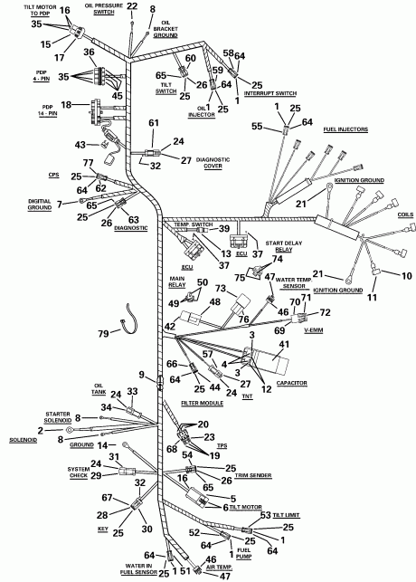 ��������� ����� Evinrude E200FSLSSH FFI, Elec Start, TNT, 20 IN s  - gine ������