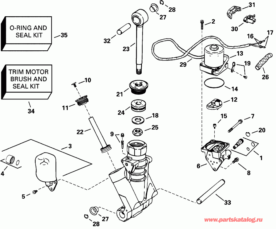  ������� E225FCZSSH FFI, Elec Start, TNT, 25 IN s  - wer Trim/tilt Hydraulic Assembly - wer Trim / tilt Hydraulic Assembly
