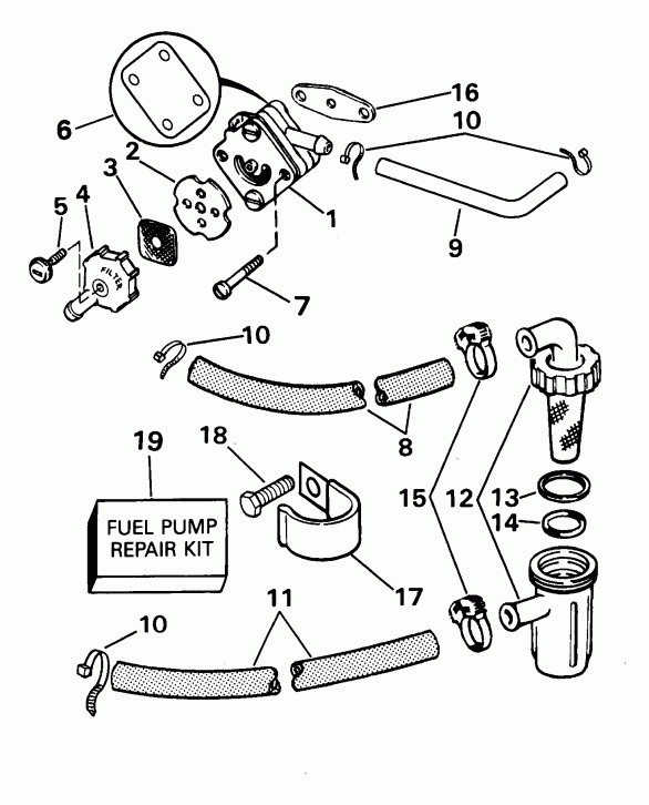 �������� ����� Evinrude E8WRSIR Commercial, rope start, tiller,   - el �����