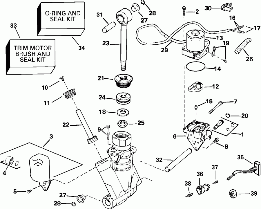 �������� ��������� ����� Evinrude E175FSLSTF  - wer Trim/tilt Hydraulic Assembly / wer Trim / tilt Hydraulic Assembly