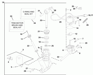 Trim & Tilt Hydraulic Assembly (Trim & Tilt Hydraulic Assembly)