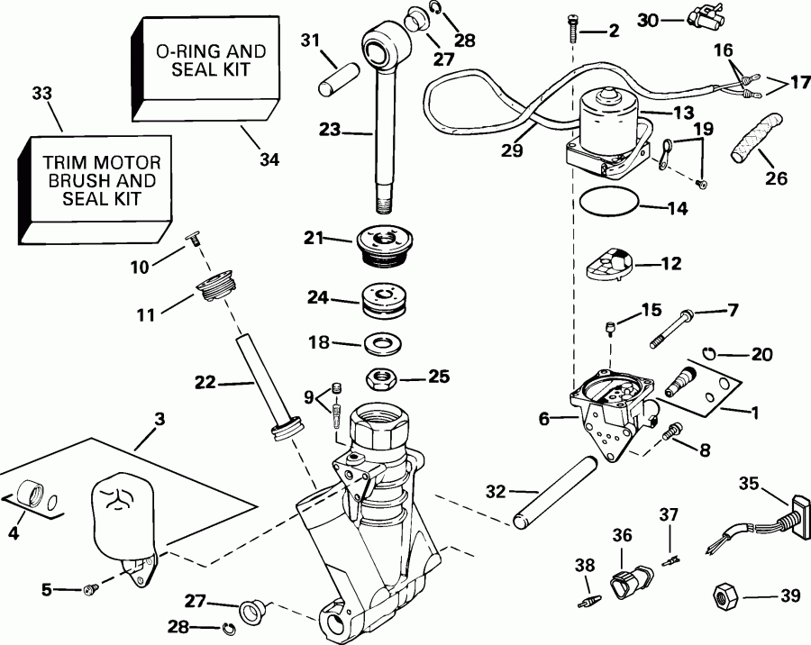 ��������� ��������� Evinrude E115FPXSOD  - wer Trim/tilt Hydraulic Assembly