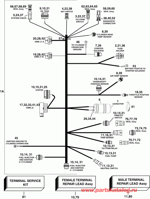 ��������� �������� ����� Evinrude E40DRLSOR  - gine ��������� - ���� �������� - gine Electrical Harness