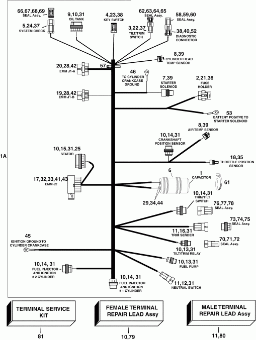 ��������� �������� ����� EVINRUDE E60WDRLSOS  - gine ��������� - ���� ��������