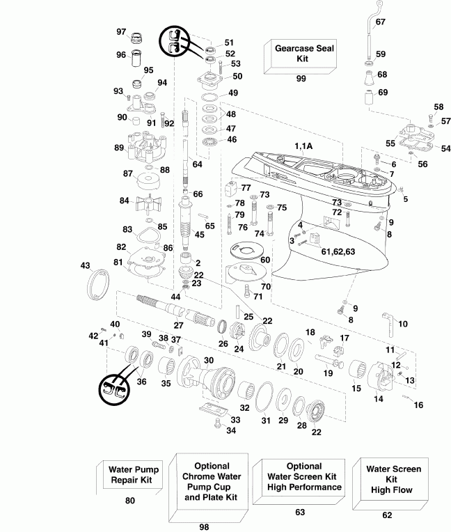 ��������� ����� EVINRUDE E250DPXSDR  - arcase