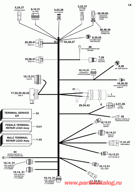 ����� EVINRUDE E75DPLSDA  - gine ��������� - ���� �������� - gine Electrical Harness